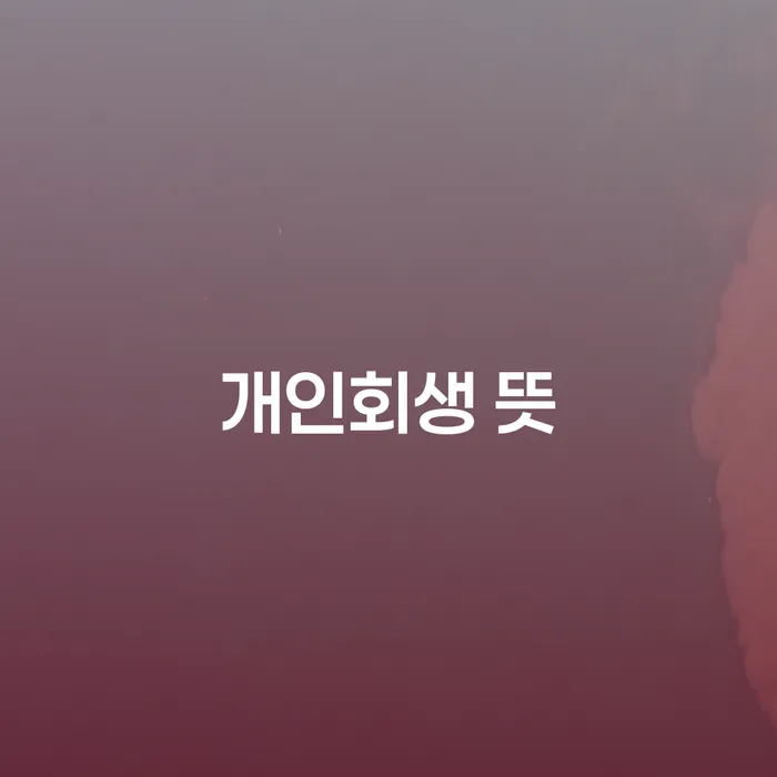 개인파산자격 개인회생 제도 관련정보