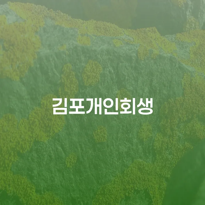 카드연체금 개인회생으로 방법 미리알기