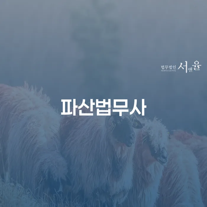 보성군 개인회생전문변호사 빚청산 자세하게 알아보자