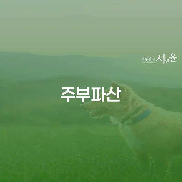 양양군 개인회생주식 개인회생으로 해결방법 해결 방법 알려드려요.
