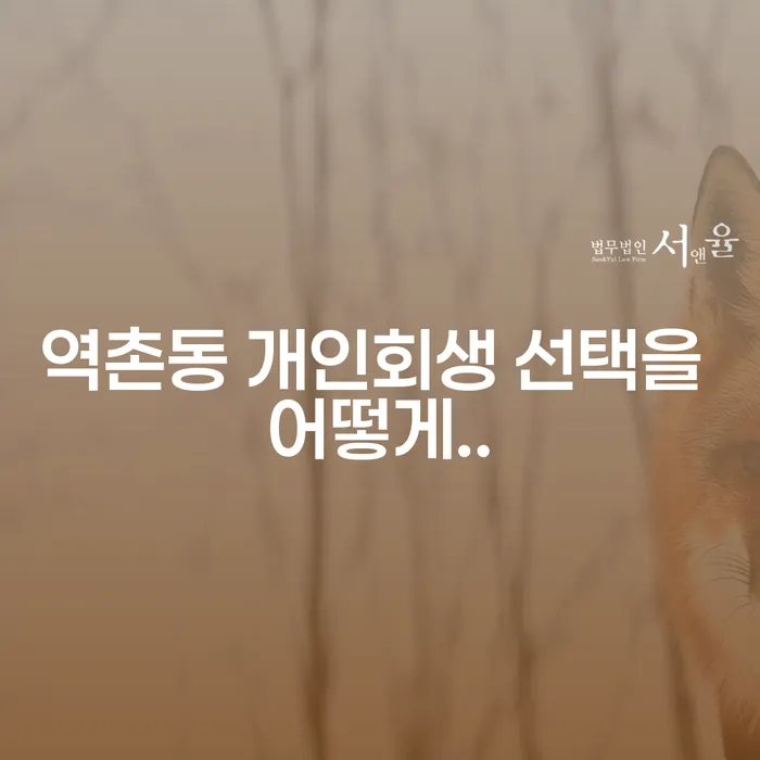 역촌동 개인회생 선택을 어떻게..