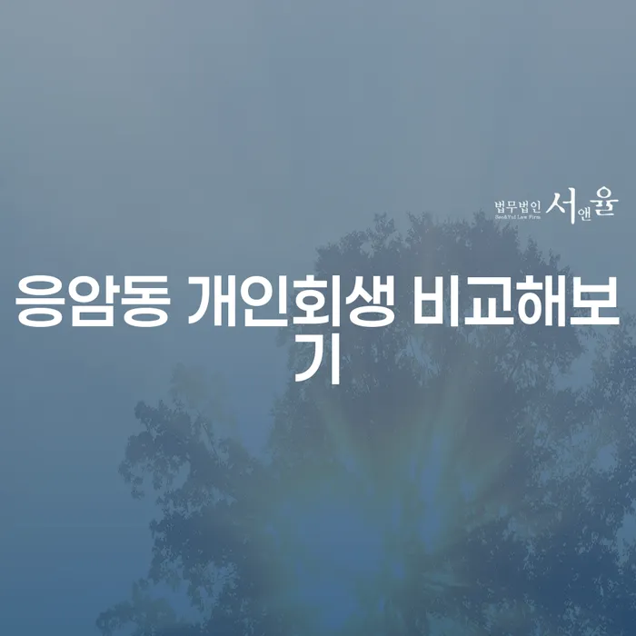 응암동 개인회생 비교해보기