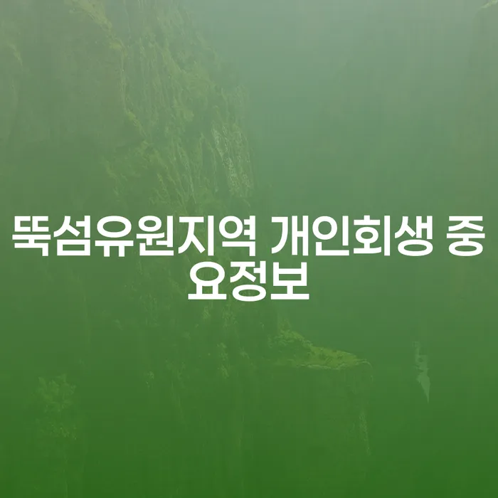 뚝섬유원지역 개인회생 중요정보