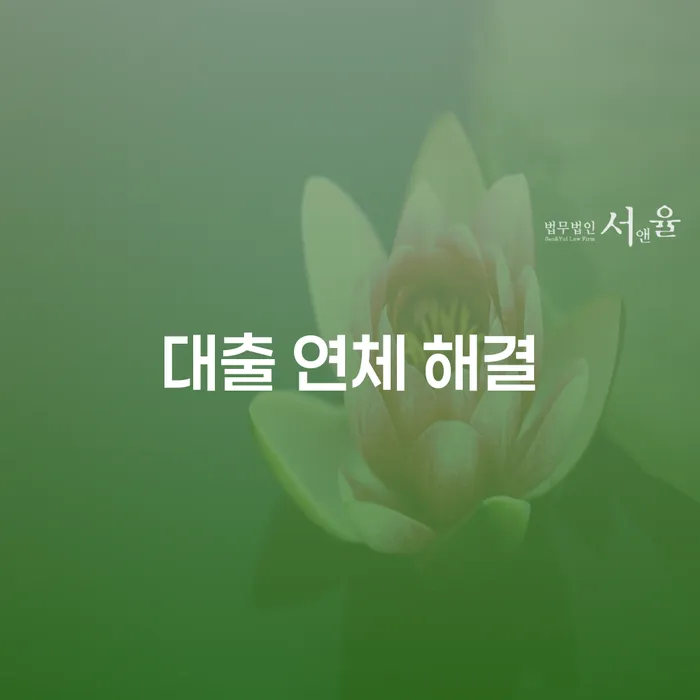대출 연체 해결 방법: 왜 개인회생과 개인파산이 답일까요?