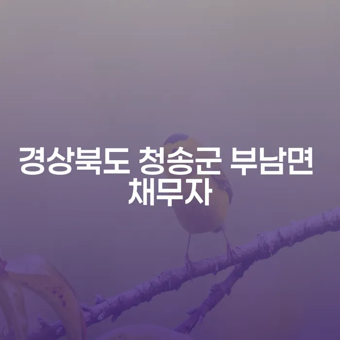 경상북도 청송군 부남면 채무자가 알아야 할 개인회생과 개인파산