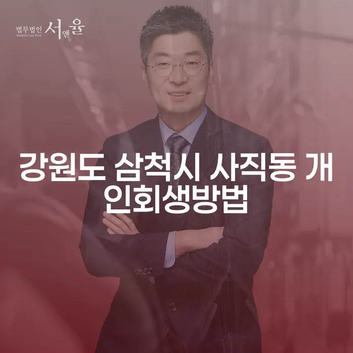 강원도 삼척시 사직동에서 시작하는 개인회생 방법은?